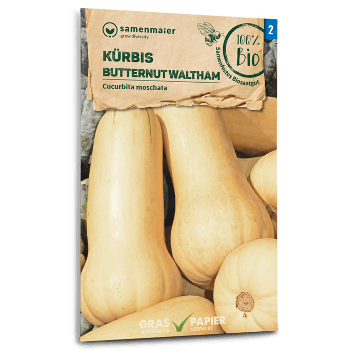 samen-maier-bio-k-rbis-butternut-waltham-gem-sesamen image 1