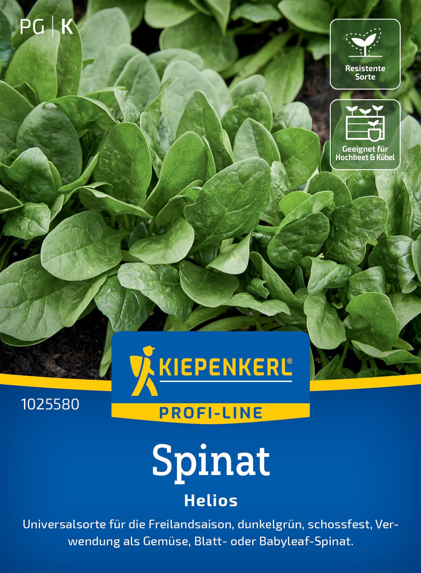 kiepenkerl-spinat-helios-gem-sesaat image 1