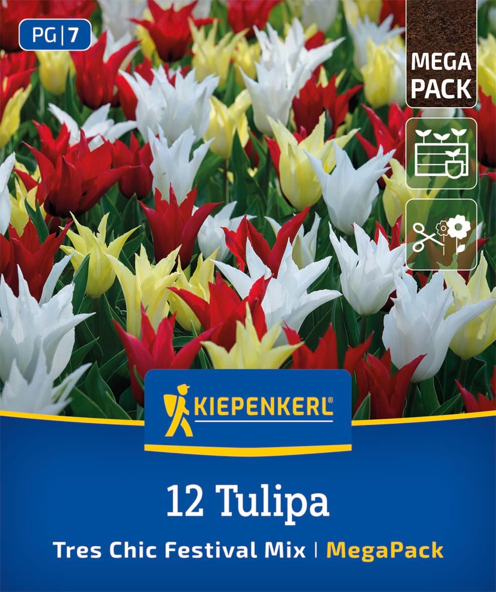 kiepenkerl-mega-pack-lilienbl-tige-tulpen-tres-chic-mix-blumenzwiebeln image 1