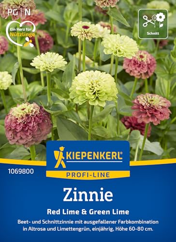 kiepenkerl-zinnien-red-lime-green-lime-blumensamen image 6