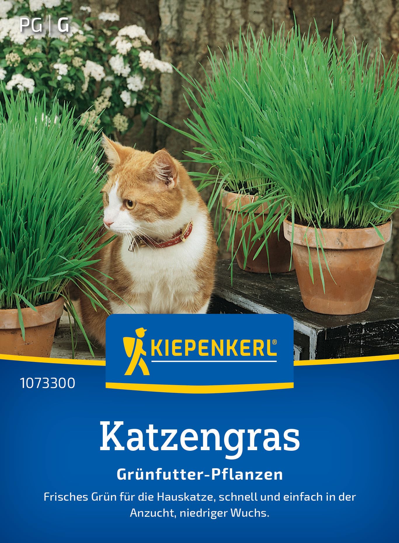 kiepenkerl-katzengrassamen-frischgr-n-mischung-1073300-pflanzensamen image 1