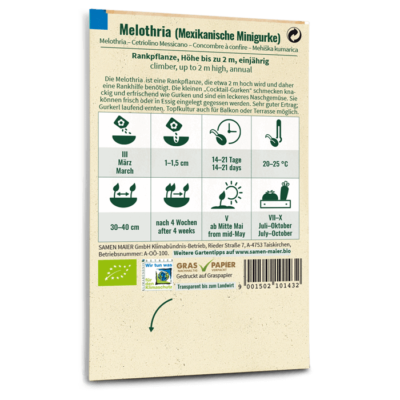 samen-maier-bio-melothria-mexikanische-minigurke-samen image 4