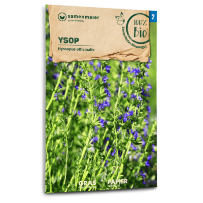 samen-maier-bio-ysop-kr-utersamen-blauviolett-bl-hend image 3