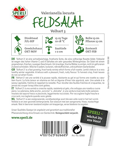 sperli-premium-feldsalat-vollhart-3-samen-82668 image 6