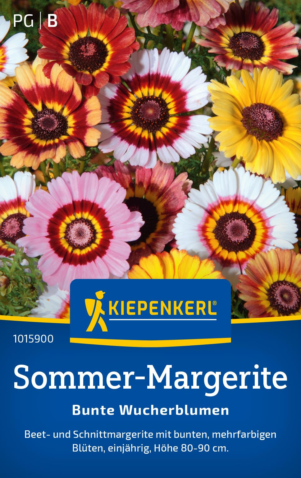 kiepenkerl-sommer-margeritensamen-bunte-wucherblumen-1015900-blumensaat image 1
