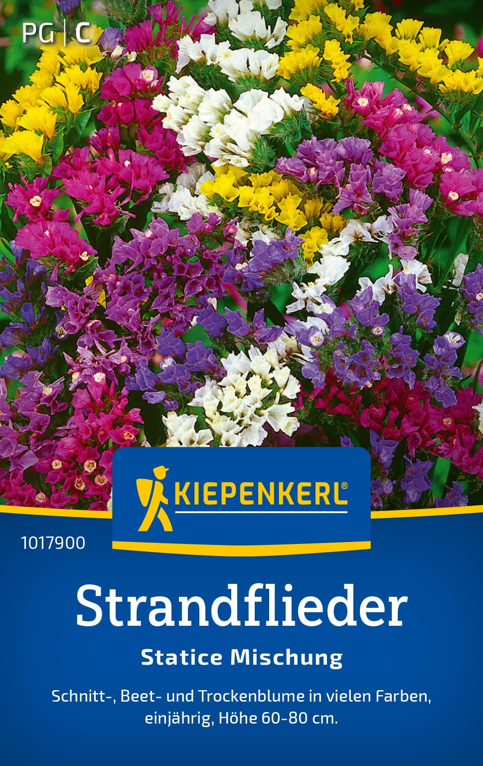 kiepenkerl-strandfliedersamen-statice-mischung-1017900-einj-hrige-blumensamen-f- image 1