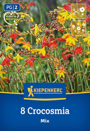 kiepenkerl-crocosmia-kleinblumige-mischung-3675010-blumenzwiebeln image 7