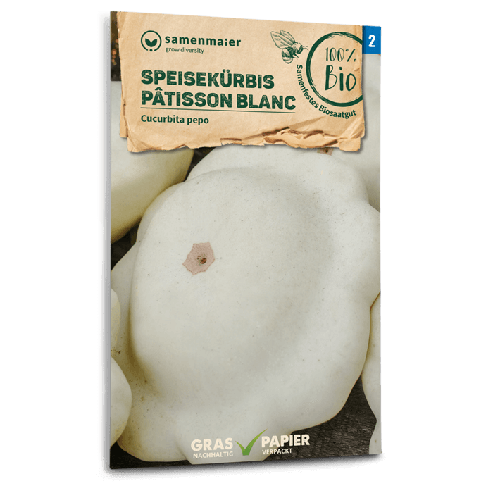 samen-maier-bio-speisek-rbis-patisson-blanc-samen image 1