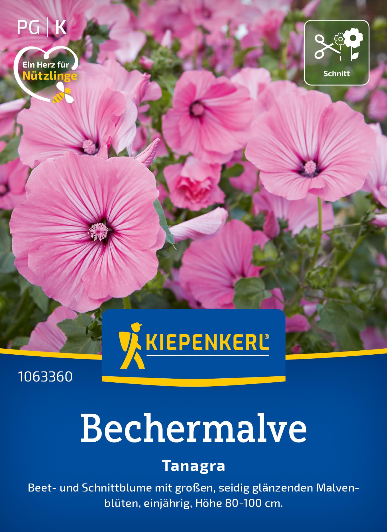 kiepenkerl-leinkrautsamen-licilia-red-1062940-sommerblumensaat image 6