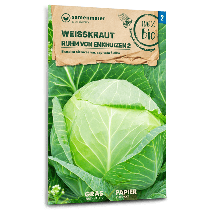 samen-maier-bio-wei-kraut-ruhm-von-enkhuizen-2-krautsamen image 1