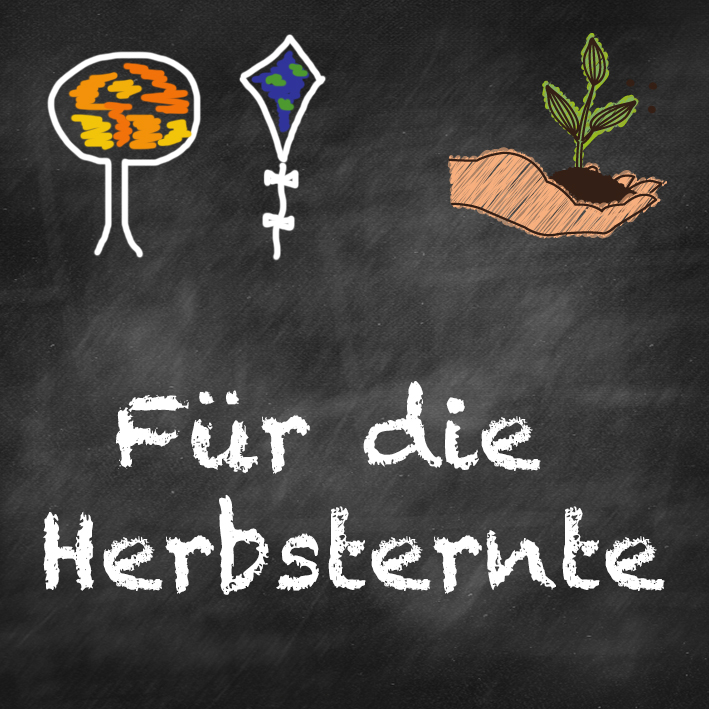 samen-maier-beet-box-f-r-die-herbsternte-bio-gem-se-saatgut-set-mit-5-sorten image 7
