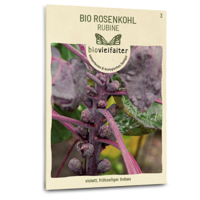 samen-maier-bio-rosenkohl-rubine-wintergem-se-saatgut image 3