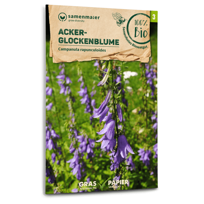 samen-maier-bio-wildblumen-acker-glockenblume-saatgut image 1