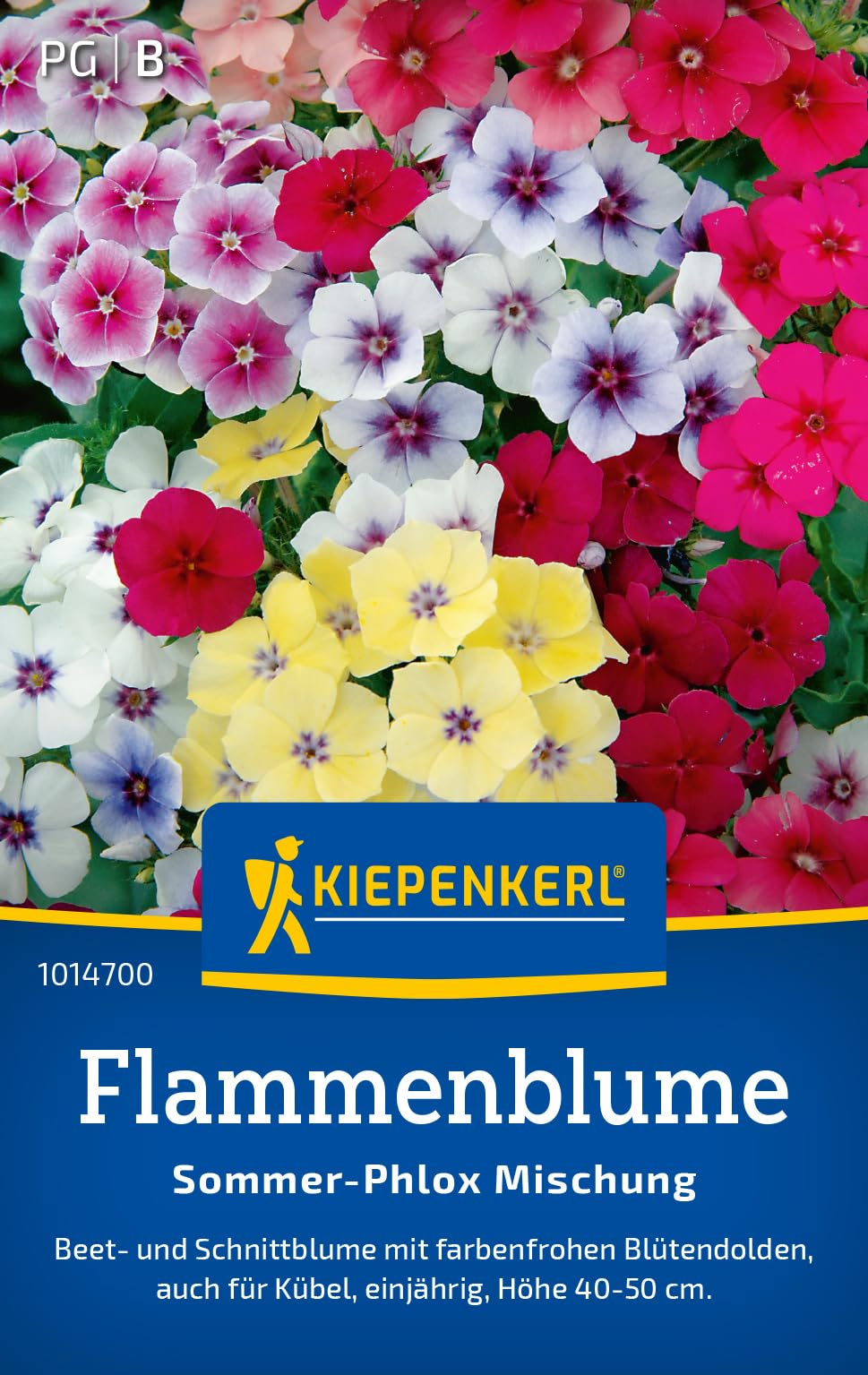 kiepenkerl-flammenblumensamen-sommer-phlox-mischung-1014700-blumensaat image 1