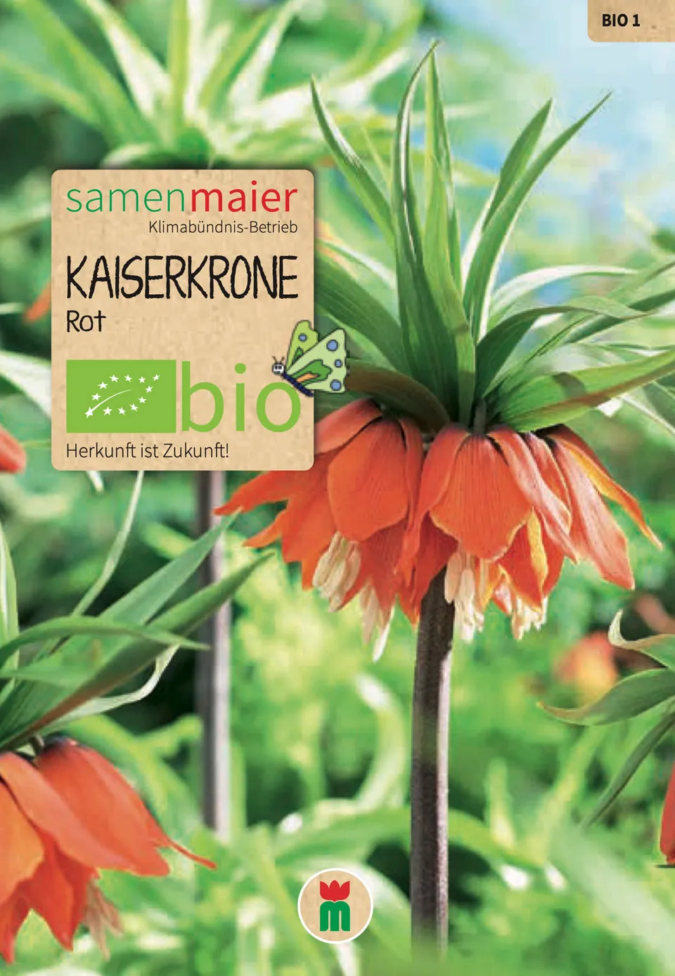 samen-maier-bio-kaiserkrone-rot-blumenzwiebeln image 1