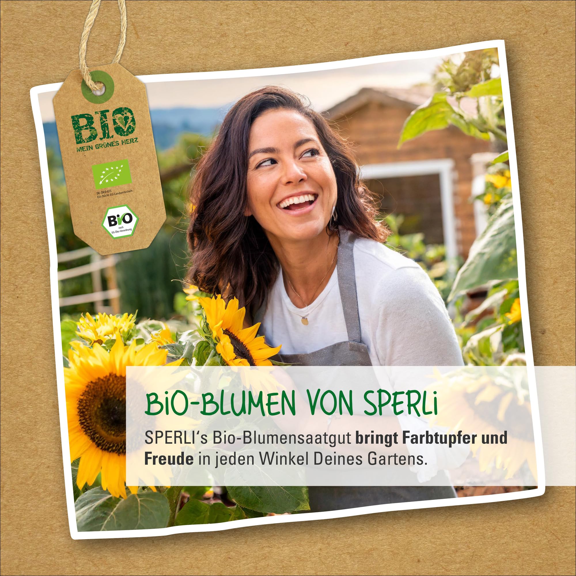 sperli-bio-ringelblumensamen-86413-blumensaat-saatband image 3