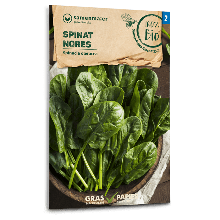 samen-maier-beet-box-f-r-smoothie-maker-5-sorten image 3