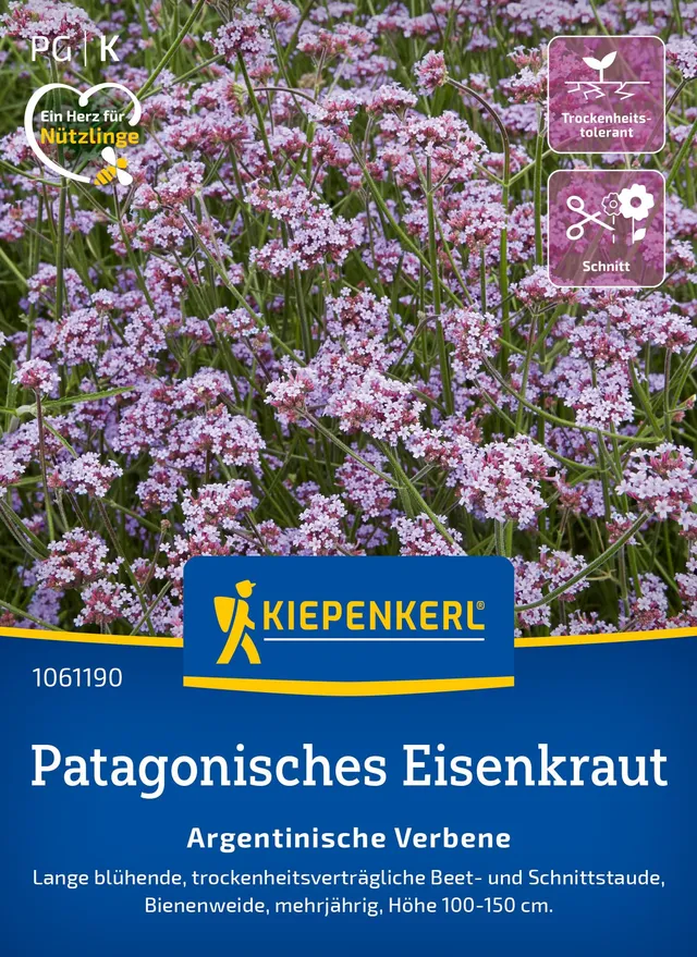 kiepenkerl-patagonische-eisenkraut-samen-argentinische-verbene-1061190 image 1