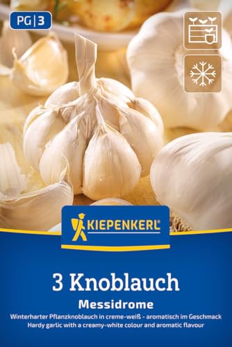 kiepenkerl-profi-line-winterknoblauch-messidrome-pflanzknoblauch-f-r-beet image 7