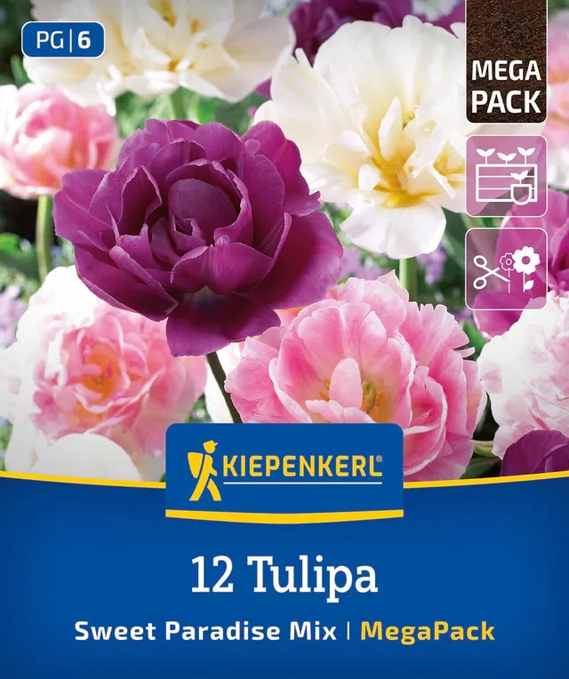 kiepenkerl-mega-pack-blumenzwiebelmischung-sweet-paradise-mix-2875032-tulpen image 1