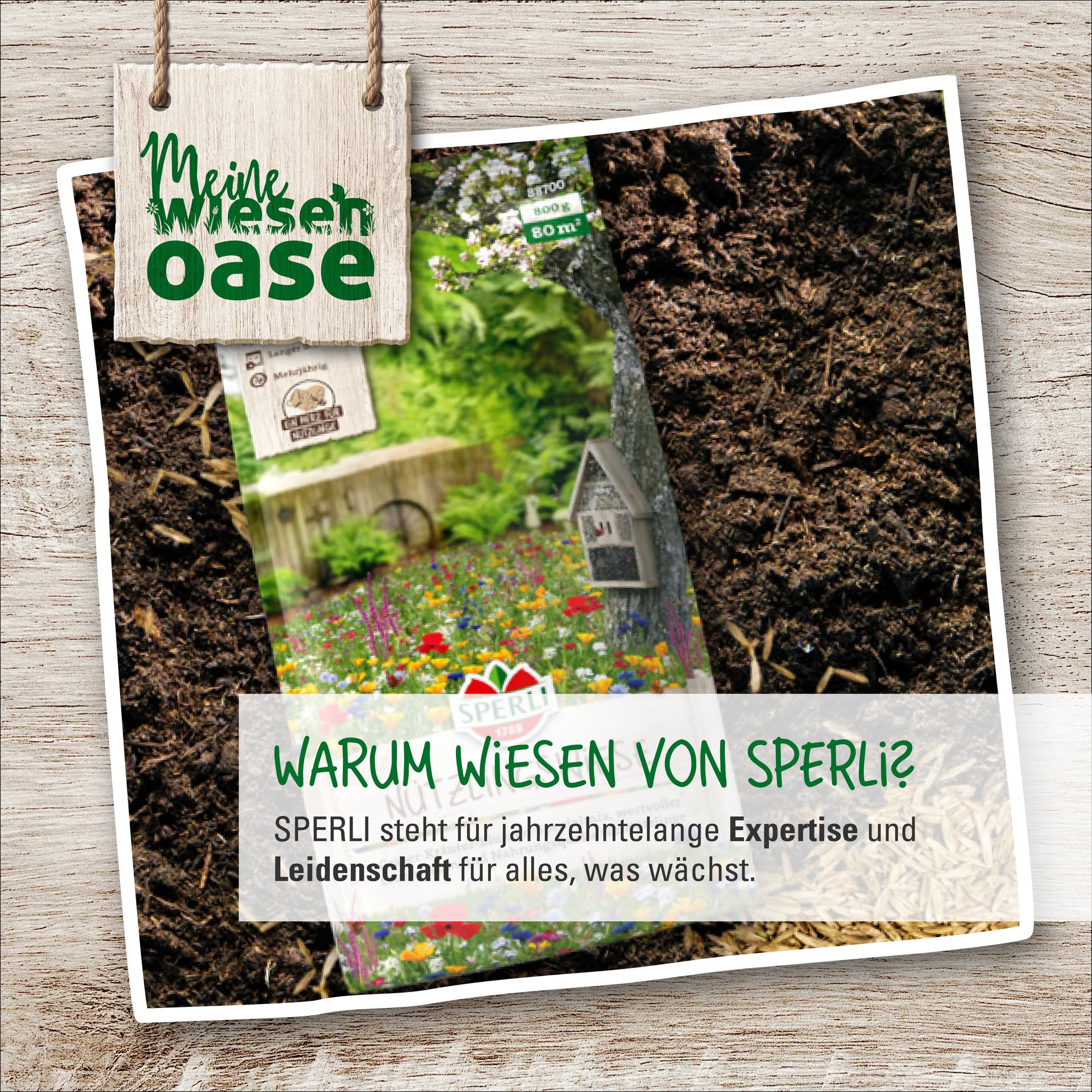 sperli-s-naturwiese-heimische-wildblumen-blumensamen-mischung image 4