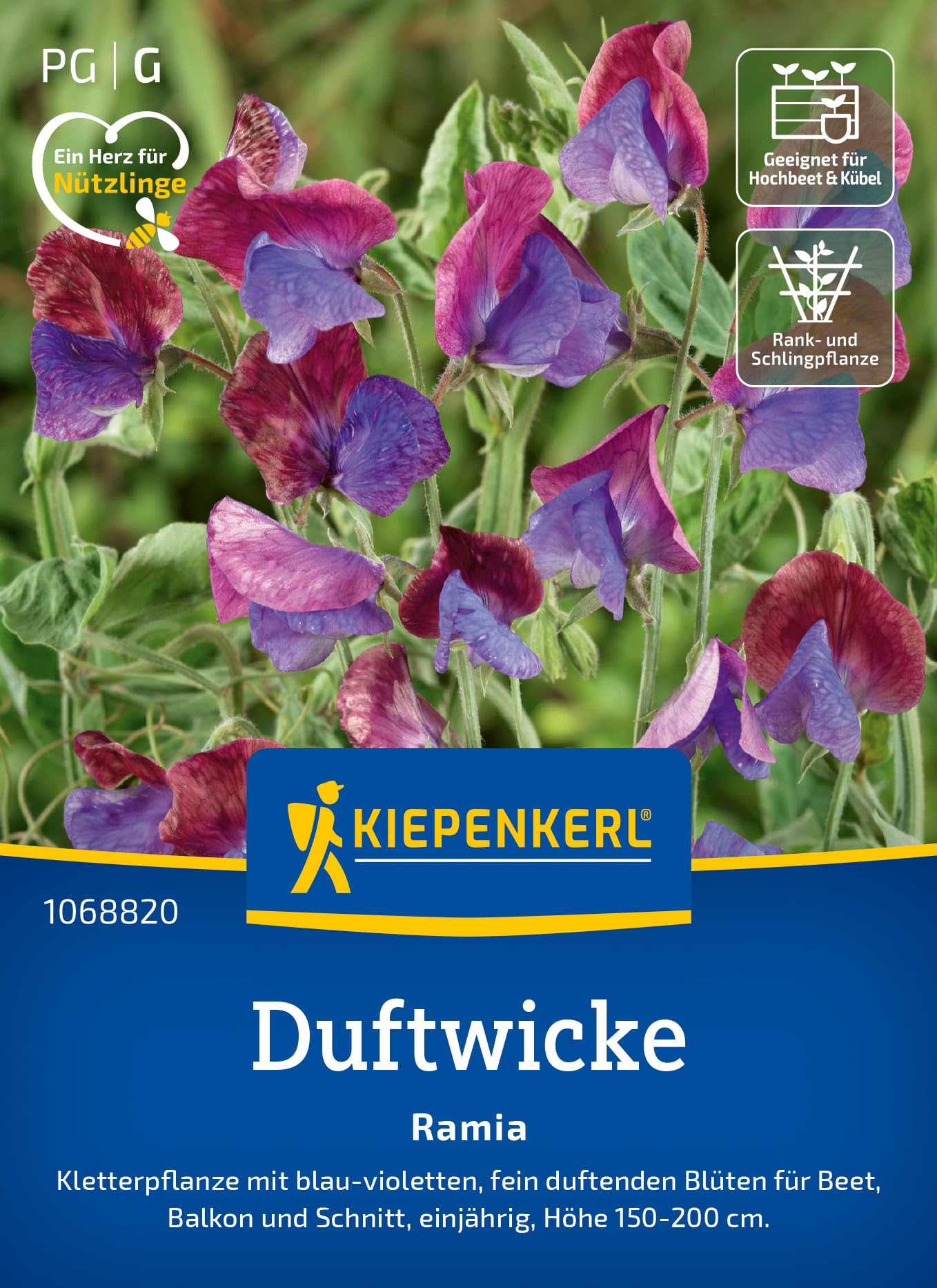 kiepenkerl-liebeshainblume-blaue-nemophila-1063040-sommerblumensaat image 8