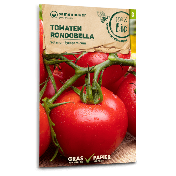 samen-maier-bio-tomaten-rondobella-tomaten-saatgut-rund-rot image 1