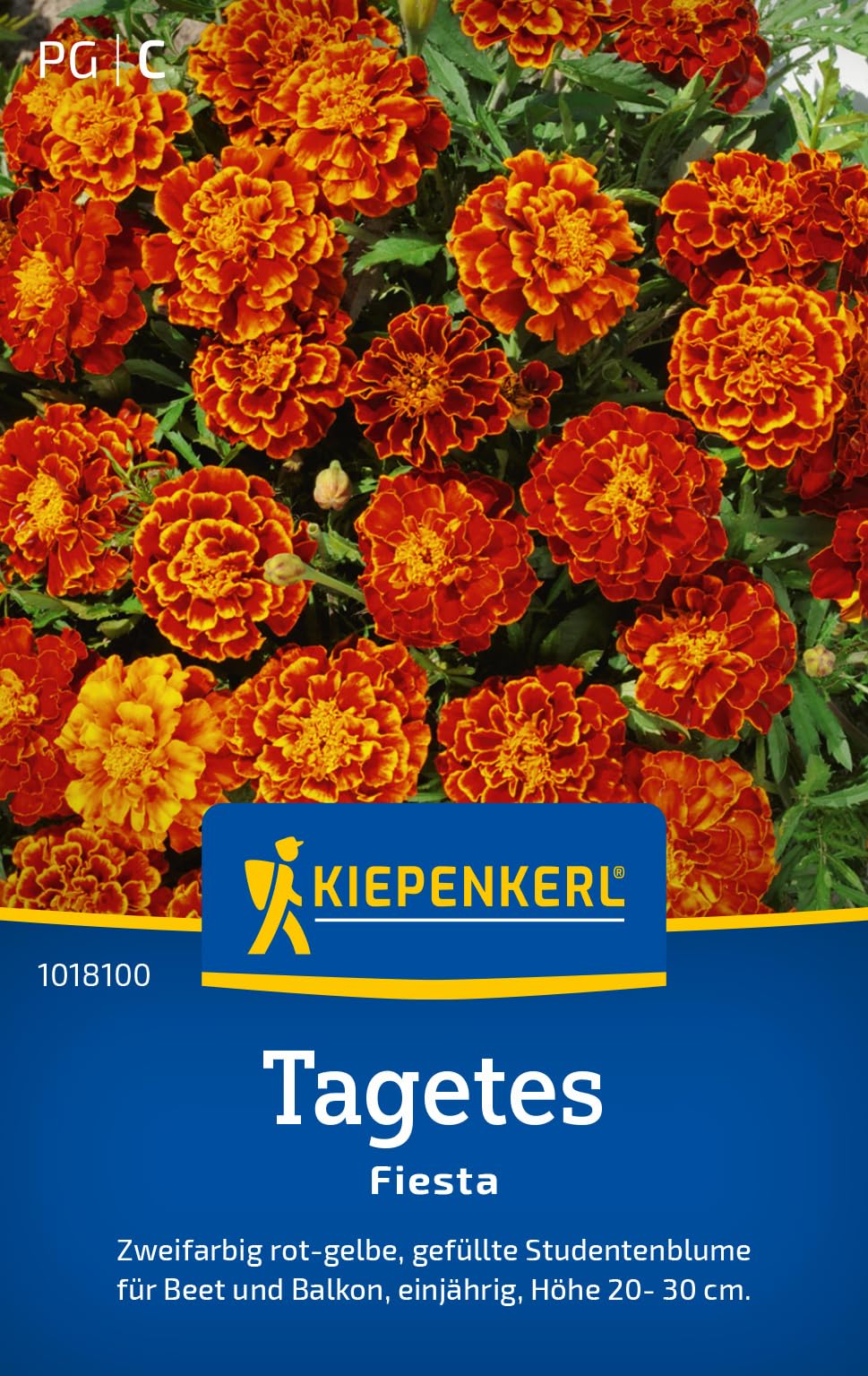 kiepenkerl-l-wenm-ulchen-hohe-schnitt-mischung-blumensamen image 8