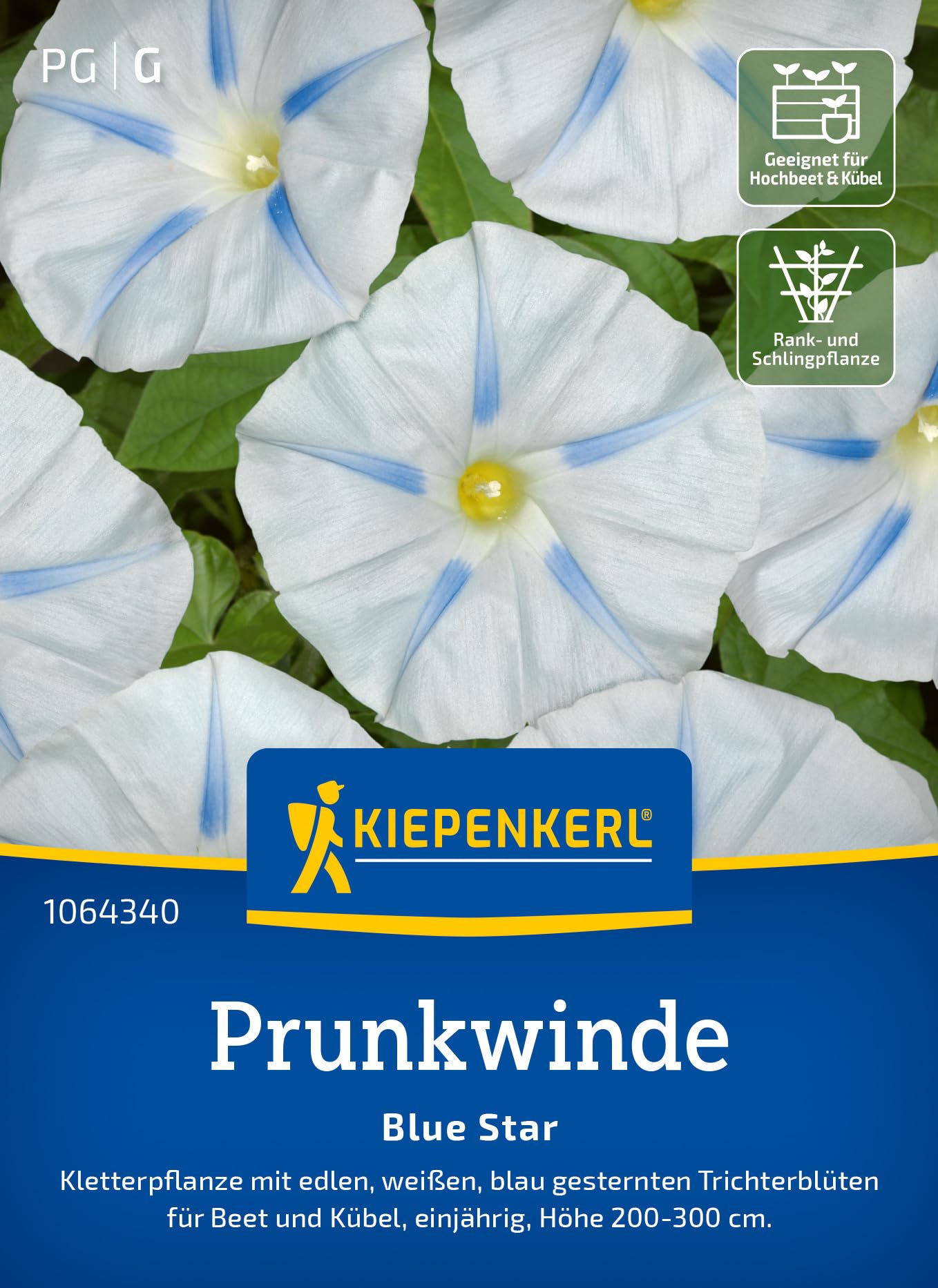 kiepenkerl-levkoje-mammut-excelsior-mischung-blumensamen image 7