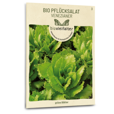 samen-maier-bio-pfl-cksalat-venezianer-salatsamen image 3