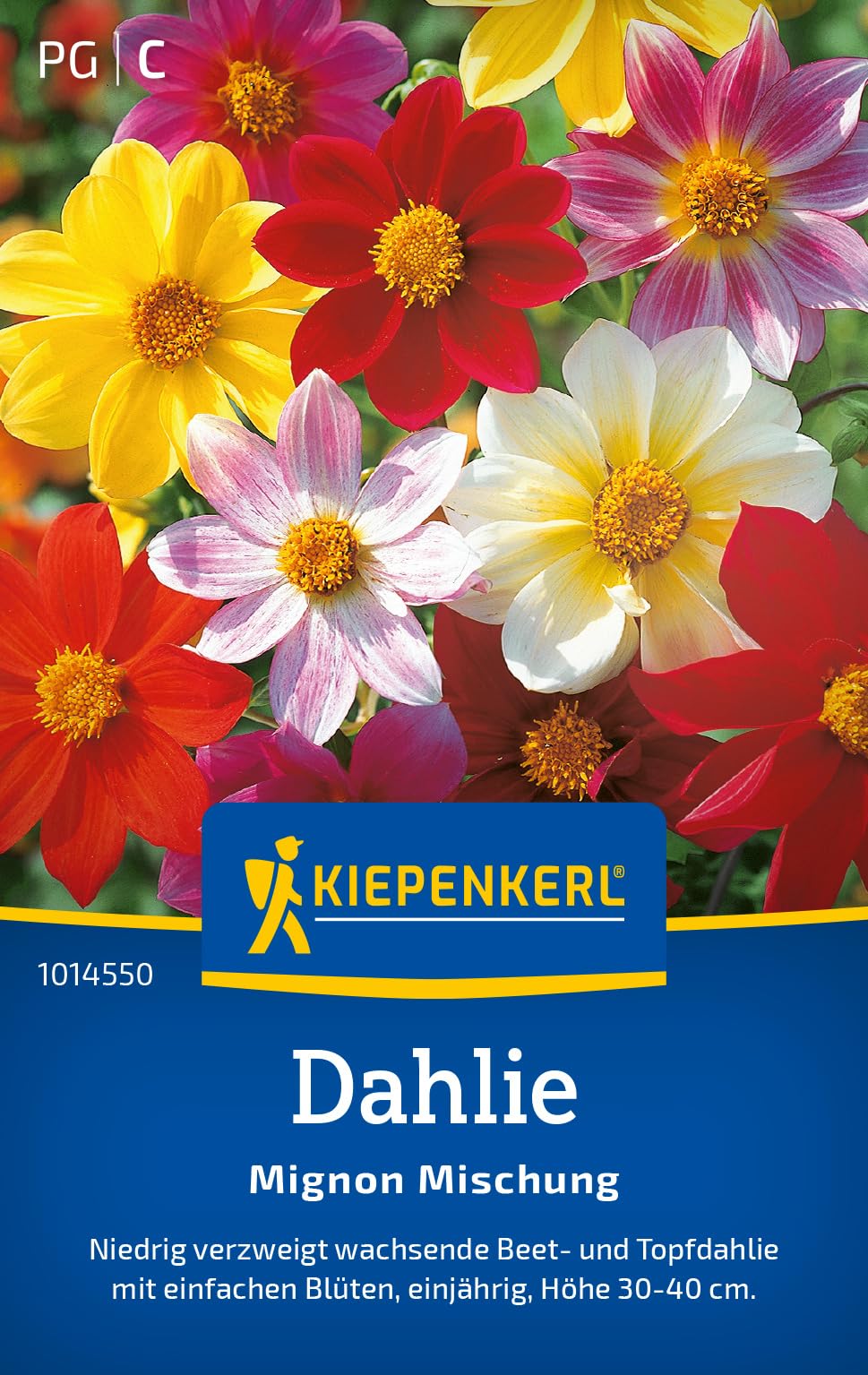 kiepenkerl-flammenblumensamen-sommer-phlox-mischung-1014700-blumensaat image 7