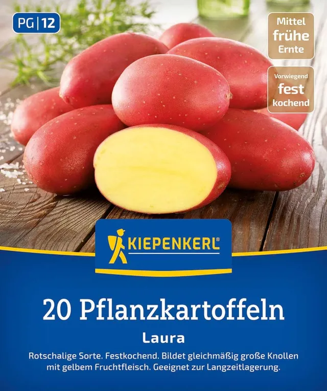 kiepenkerl-pflanzkartoffel-laura-20-st-ck-mittelfr-he-speisekartoffel image 1