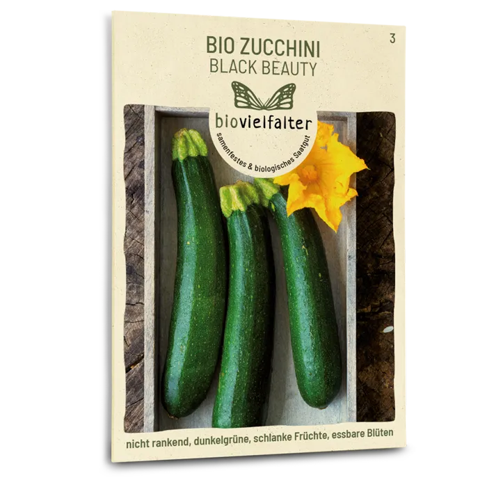 samen-maier-bio-zucchini-black-beauty-gem-sesaatgut image 1