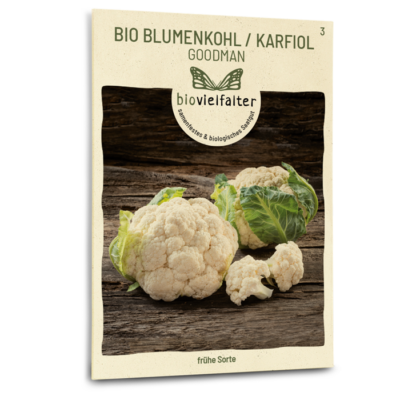 samen-maier-bio-blumenkohl-karfiol-goodman-samen image 3