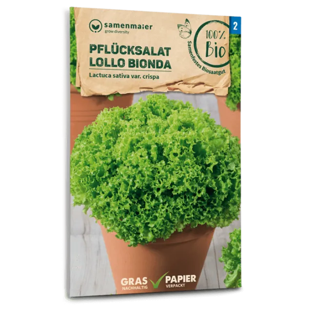 samen-maier-bio-pfl-cksalat-lollo-bionda-salatsamen image 1