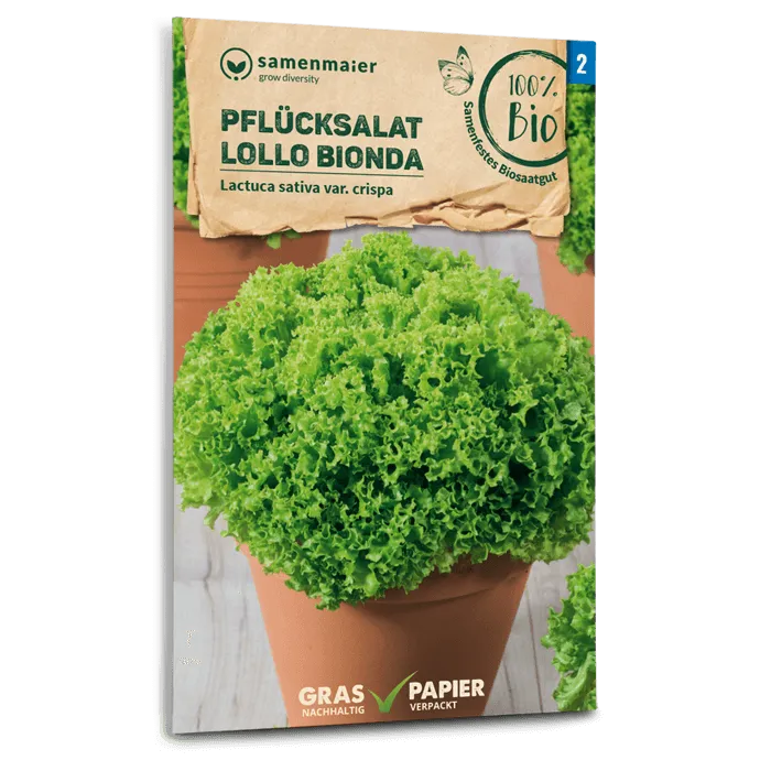 samen-maier-bio-pfl-cksalat-lollo-bionda-salatsamen image 1