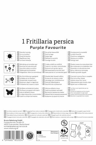 kiepenkerl-profi-line-persische-kaiserkrone-purple-favourite-fritillaria-80-100- image 8