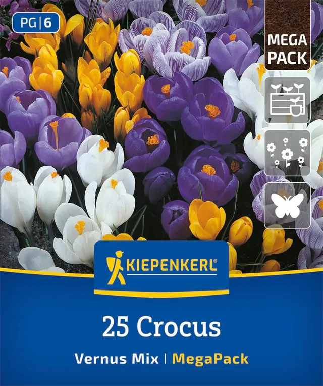 kiepenkerl-gartenkrokus-mischung-2875022-mega-pack-blumenzwiebeln-10-cm image 1