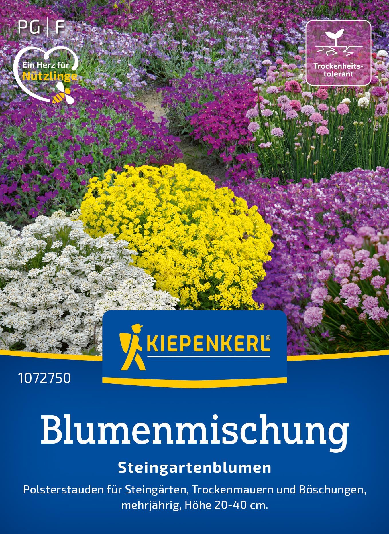 kiepenkerl-blumensamen-mischung-duftblumen-1070510-sommerblumen image 7