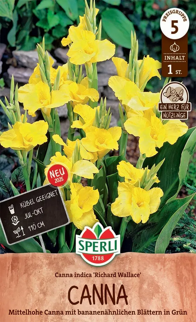 sperli-canna-richard-wallace-blumenzwiebeln-gelb-110-cm-k-bel image 1