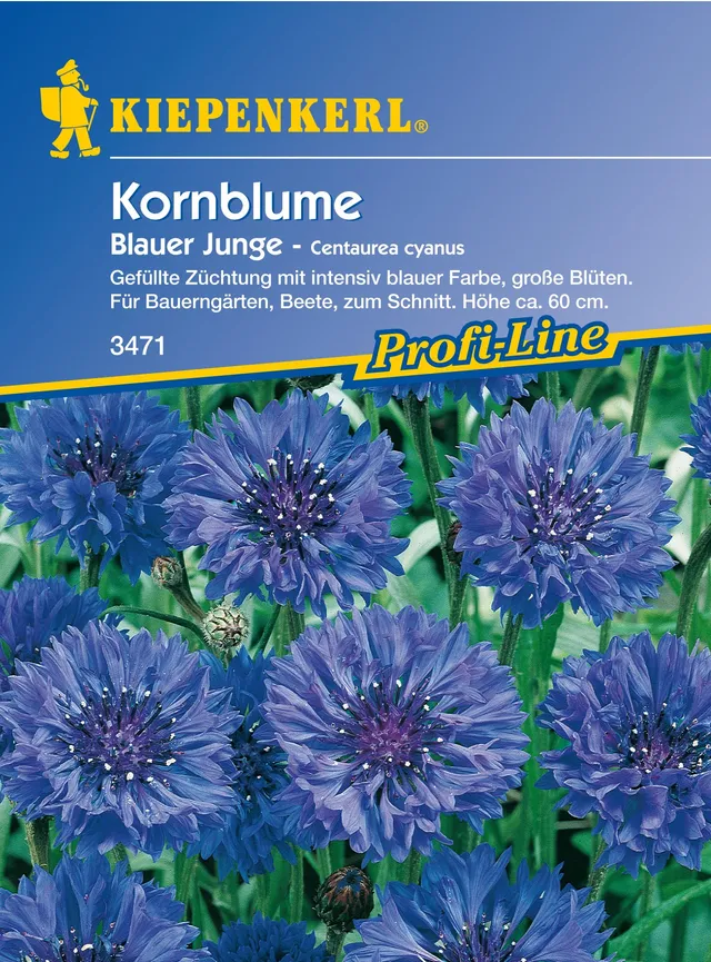 sperli-kornblume-blauer-junge-blumensamen image 1