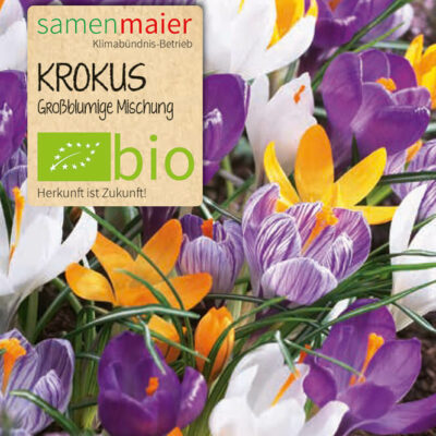 samen-maier-bio-krokus-gro-blumige-mischung-blumenzwiebeln image 2