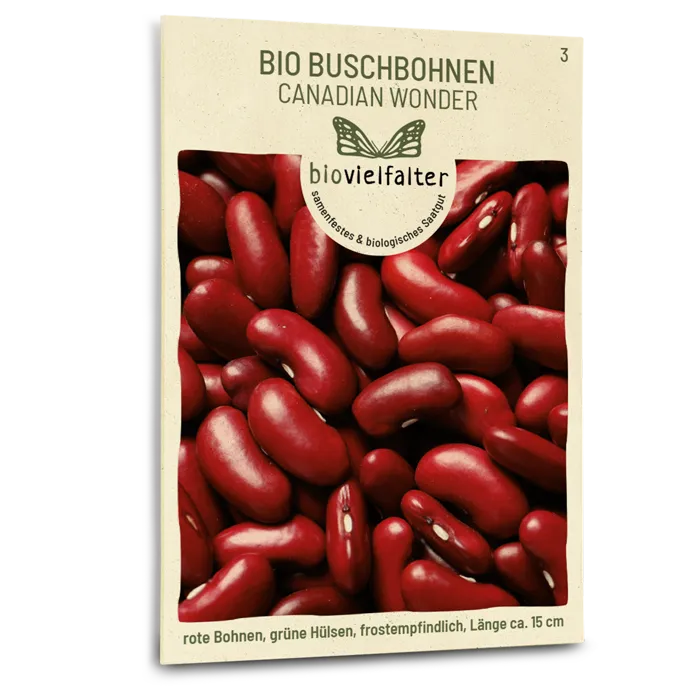 samen-maier-bio-buschbohnen-canadian-wonder-bohnen-saatgut image 1
