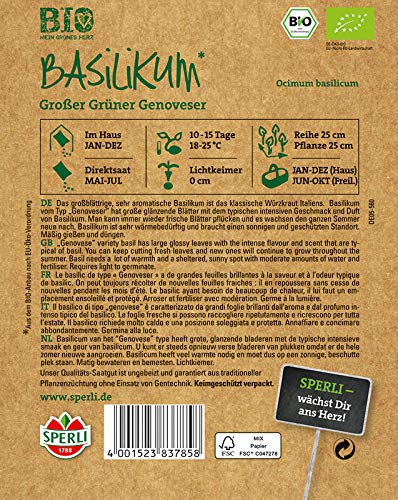 sperli-bio-basilikumsamen-gro-er-gr-ner-genoveser-f-r-ca-200-pflanzen image 2