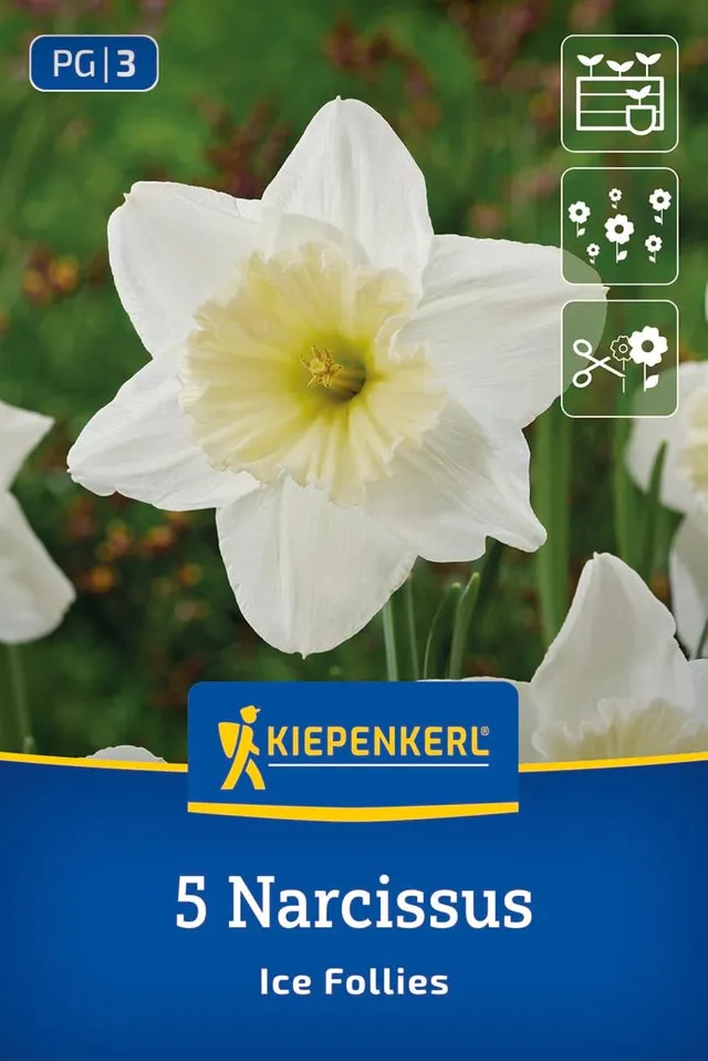 kiepenkerl-gro-kronige-narzisse-ice-follies-blumenzwiebeln-wei-gelb image 1