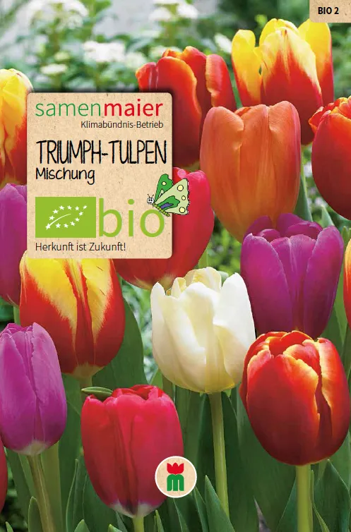 samen-maier-bio-triumph-tulpen-mischung-2-blumenzwiebeln image 1