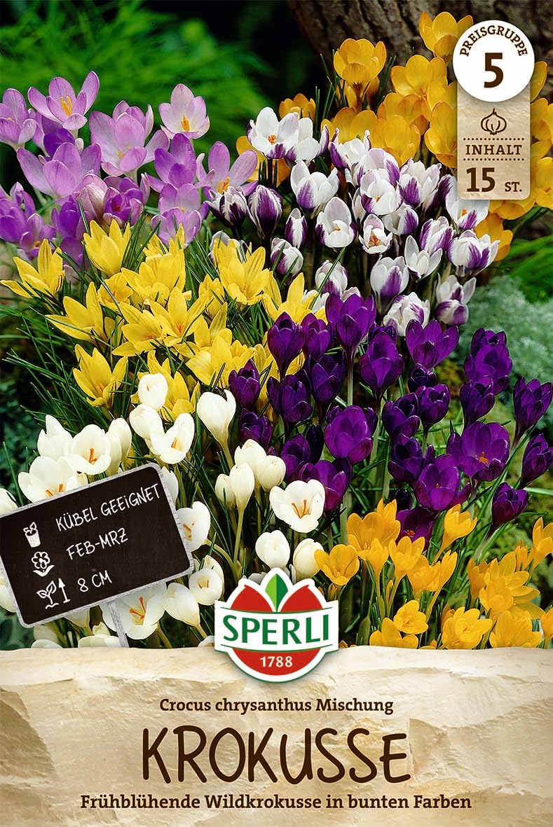 sperli-wildkrokus-botanische-mischung-blumenzwiebeln-wei-gelb-violett-10-cm image 1