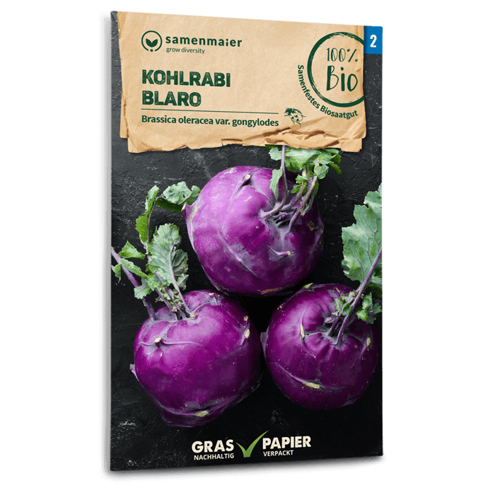 samen-maier-bio-kohlrabi-blaro-gem-sesamen image 1