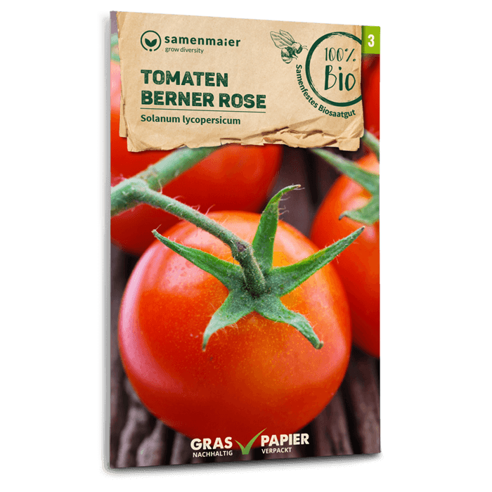 samen-maier-bio-tomaten-berner-rose-fleischtomate-saatgut image 1