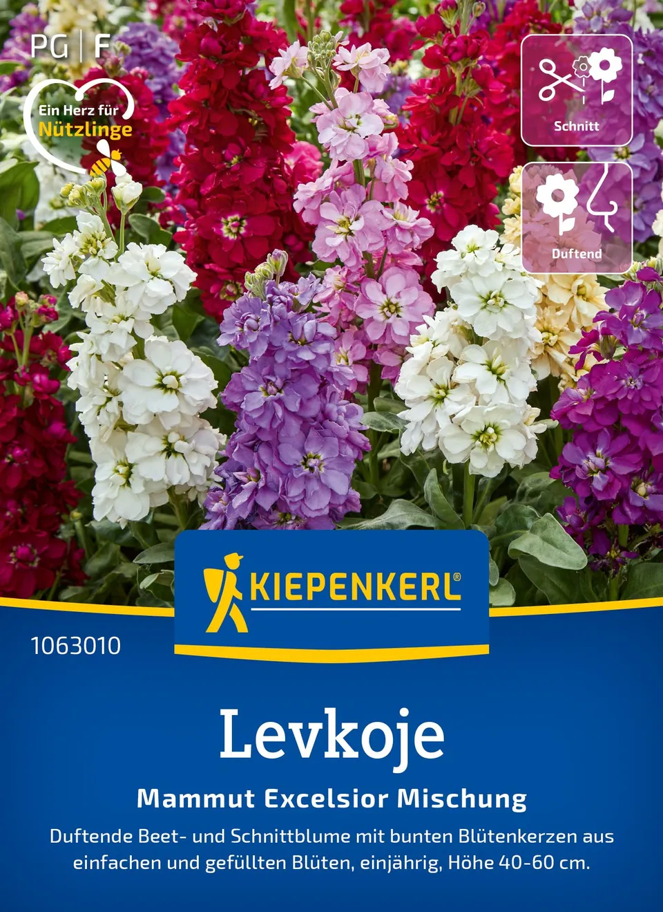kiepenkerl-levkoje-mammut-excelsior-mischung-blumensamen image 1